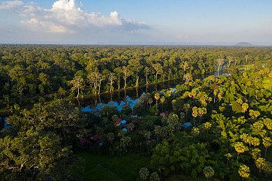 沙盒策略游戏《蚁托邦》 现已发售